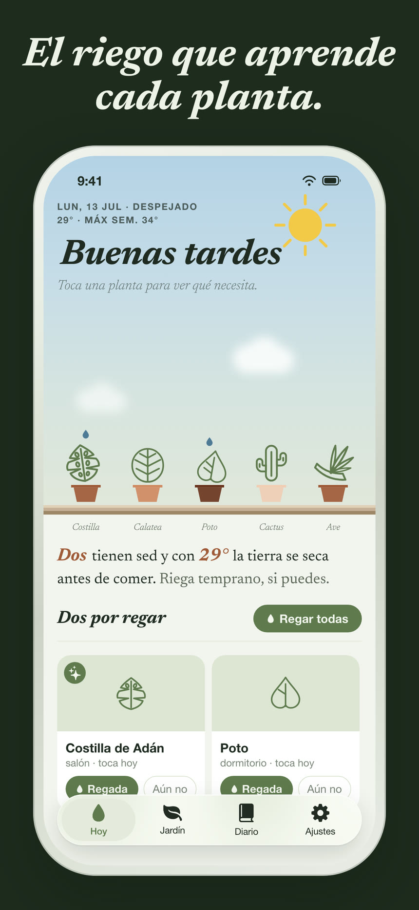 Capturas 1