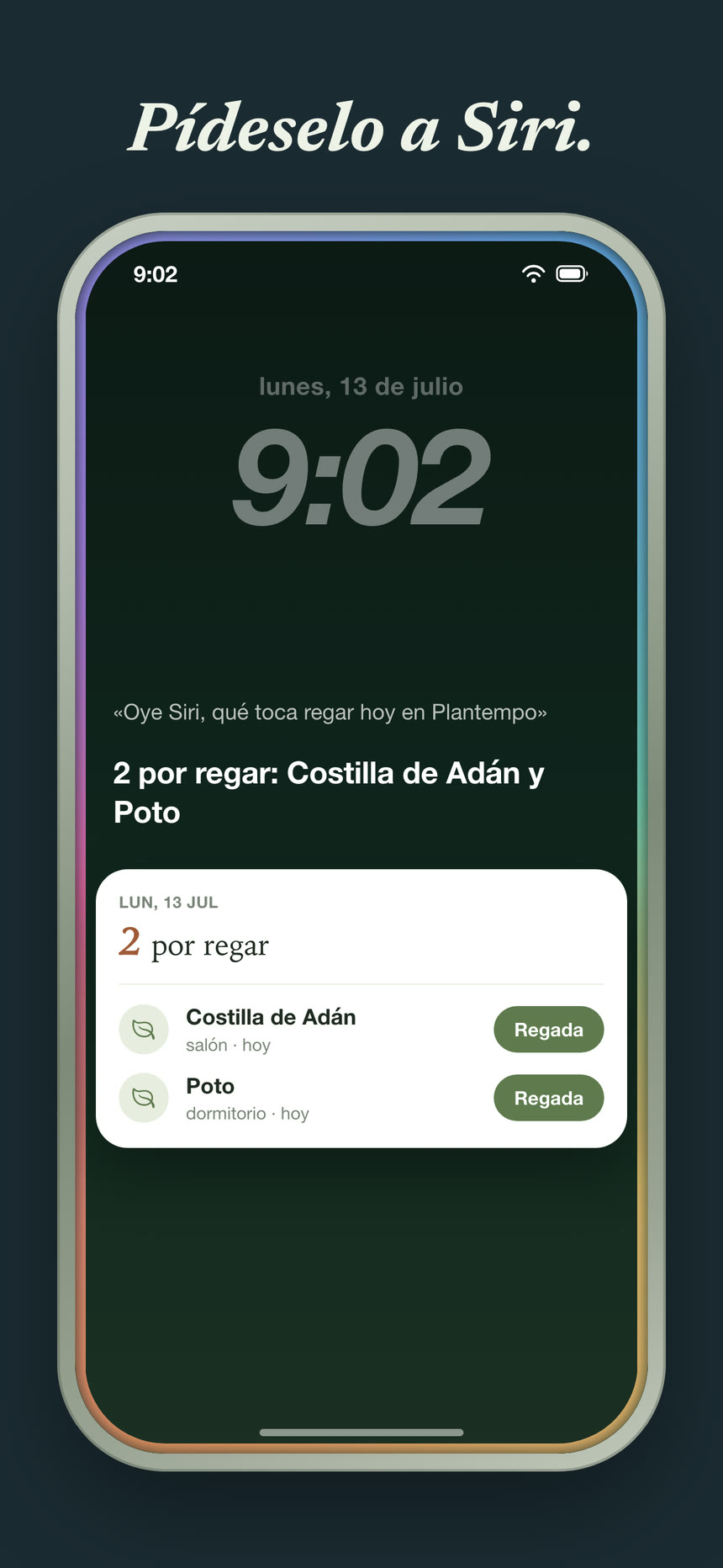 Capturas 6