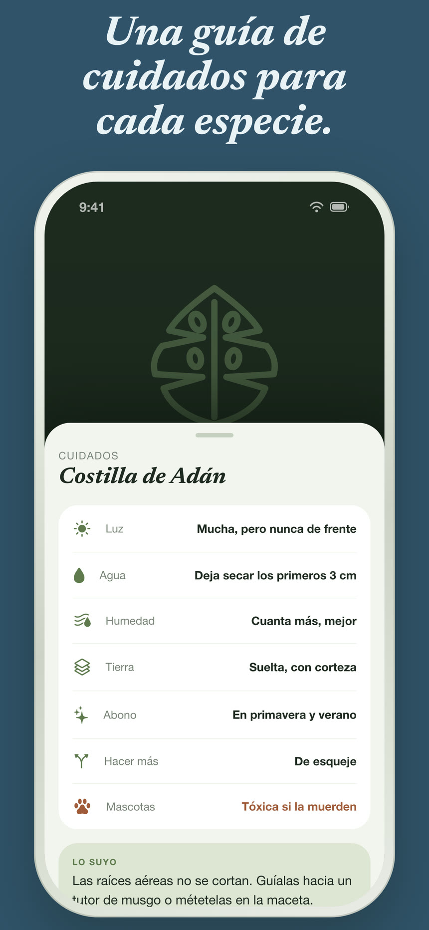 Capturas 7