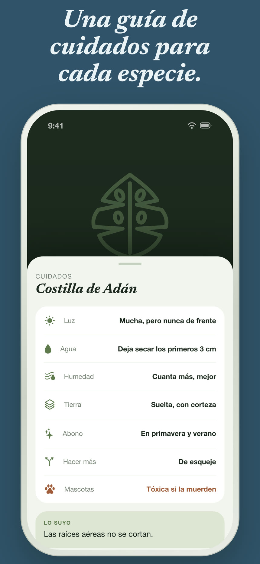 Capturas 7