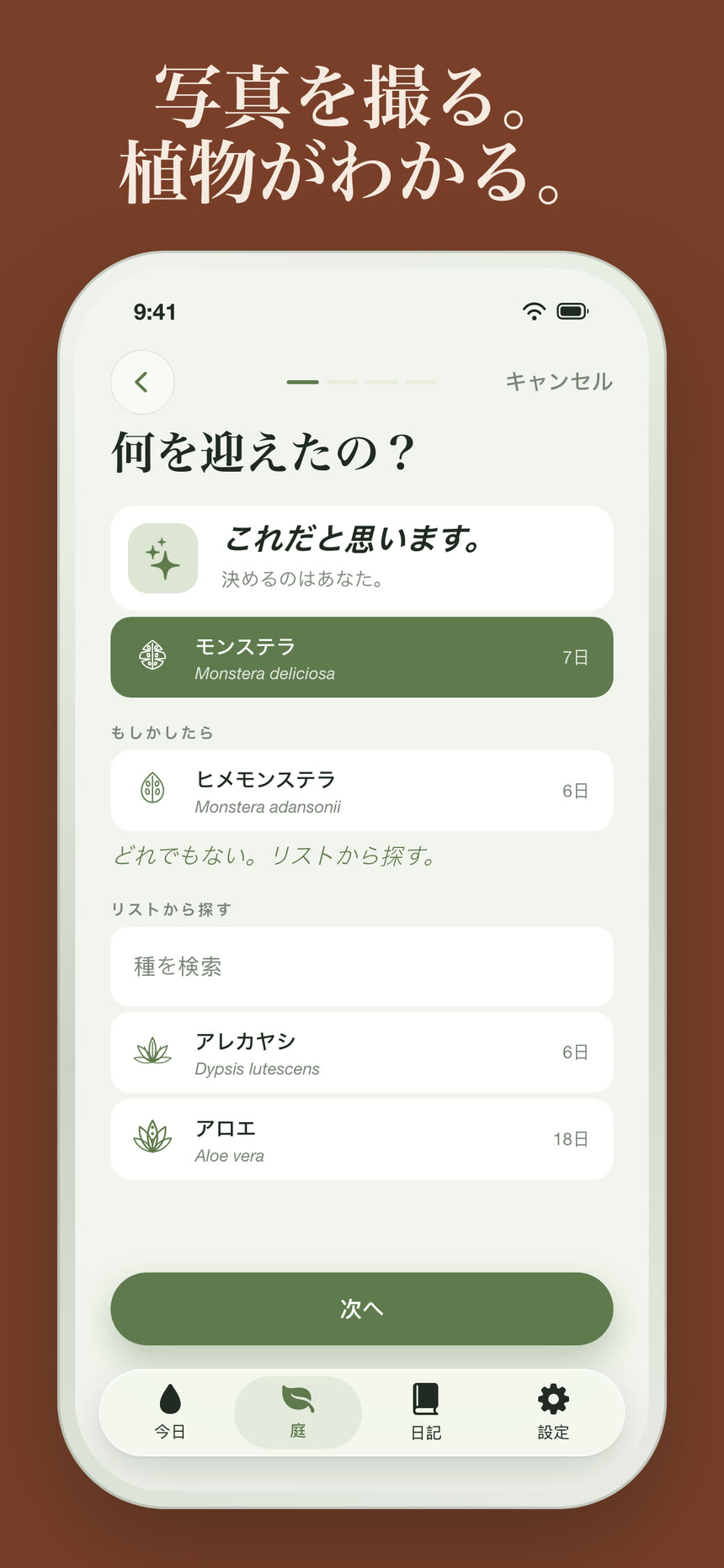 スクリーンショット 2